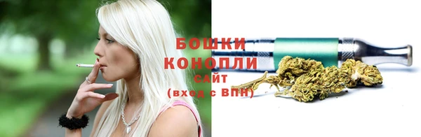 сатива Покровск