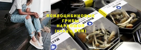 сатива Покровск